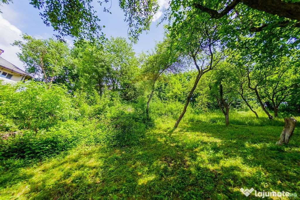 Casă de vânzare în zona centrală Târgu Lăpuș