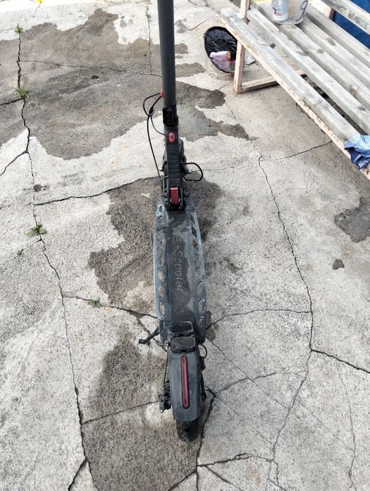 Порода электросамокат