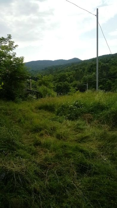 3.200 mp în satul Măgura, comuna Șoimari, cu construcție parter + etaj