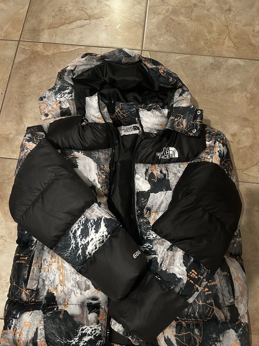 Geaca the north face