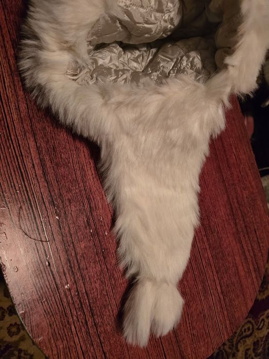 Caciula imblanita dama