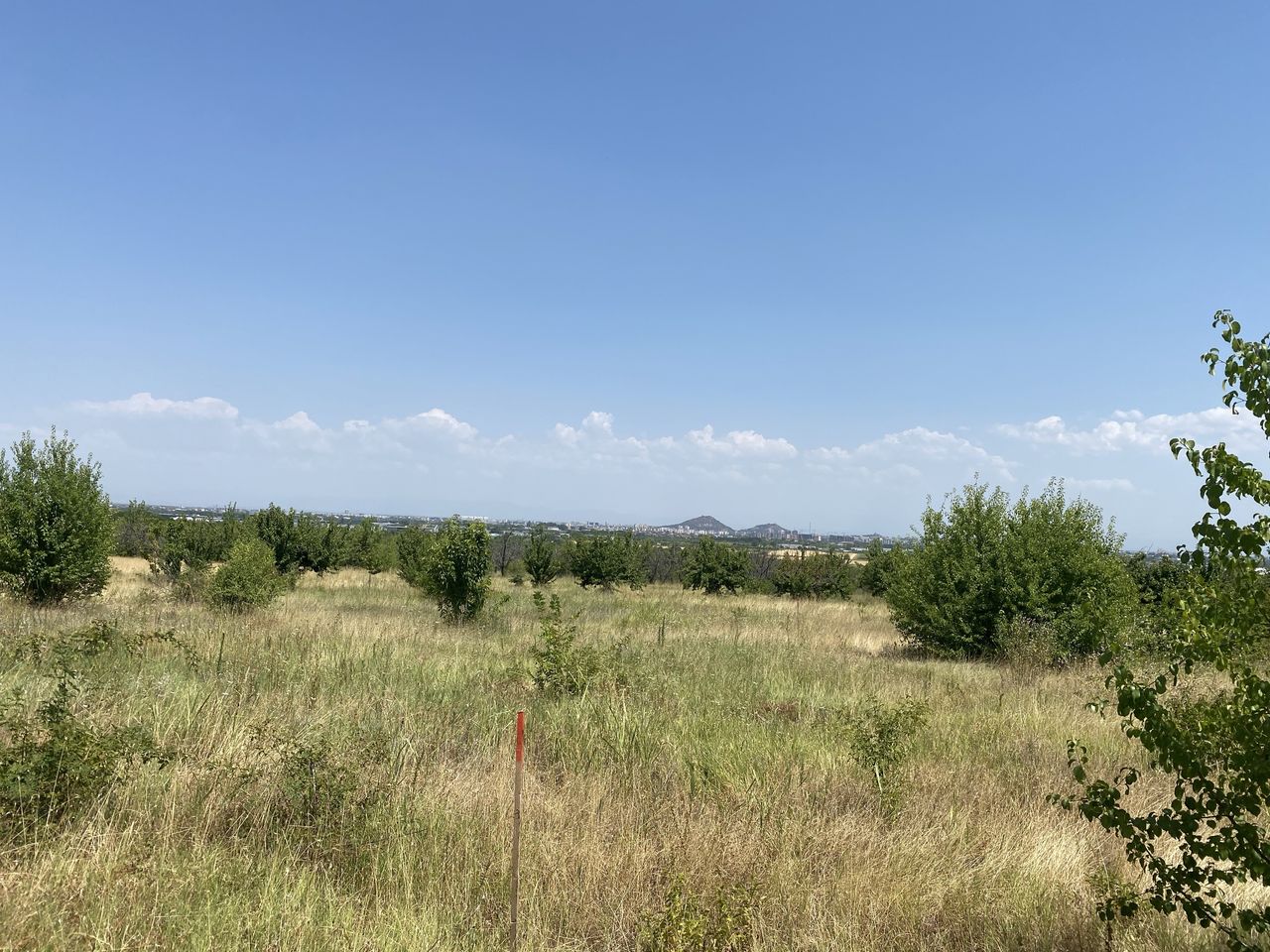 Продава се Парцел в Пловдив, Кючук Париж - 800 кв.м за 85 €/кв.м - Снимка #4