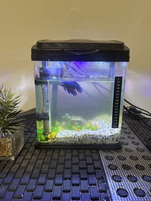Аквариум 7 литра