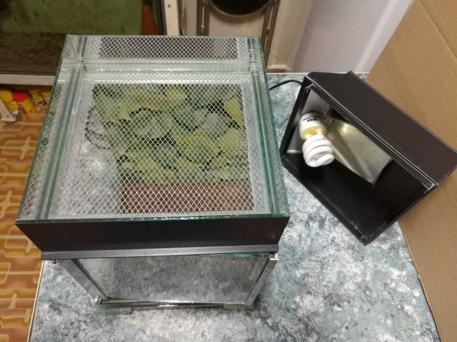 Nanoterariu de vânzare