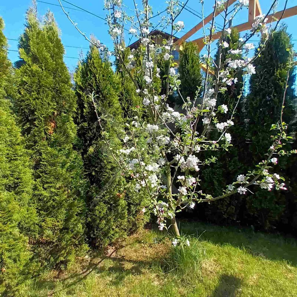 Продава се Къща в с. Владая, Област София-град - 220 кв.м за 1591 €/кв.м - Снимка #1
