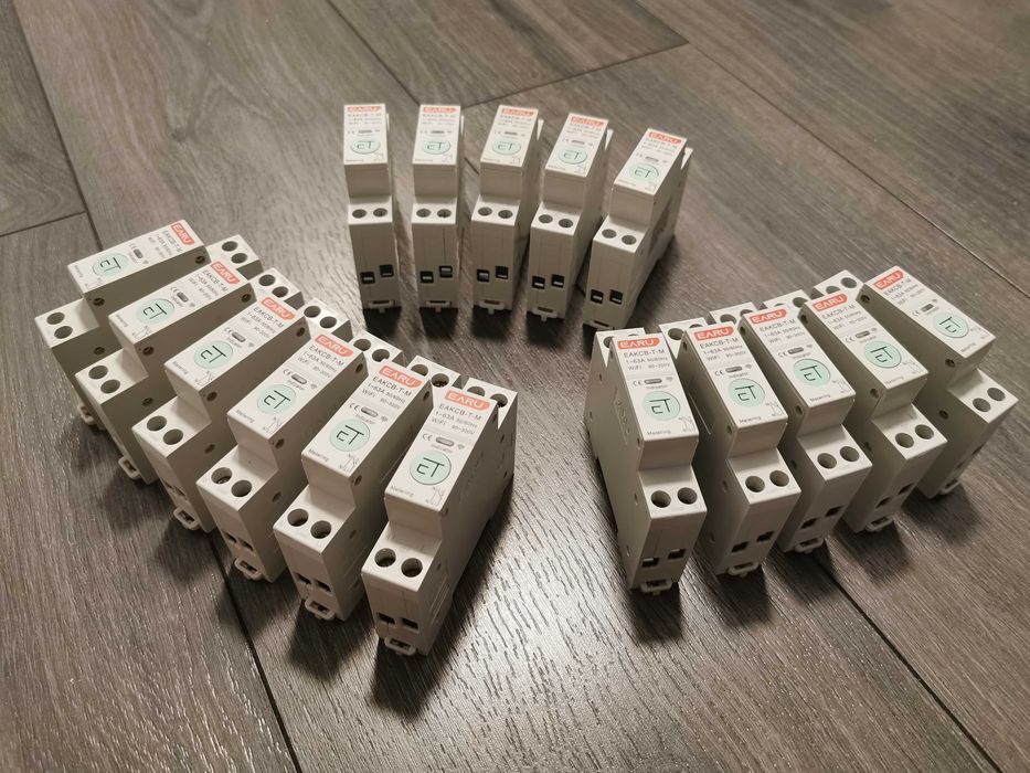 Siguranta Smart WIFI Tuya/SmartLife cu masurare consum 1-63A 1P+N EARU