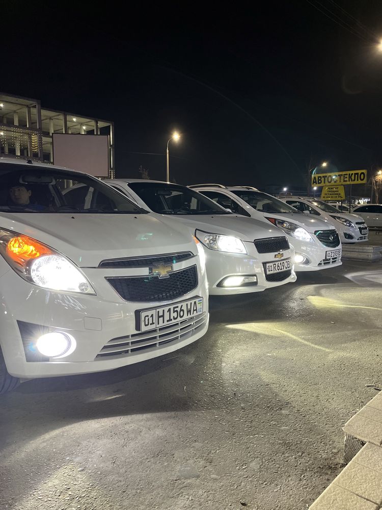 Y6 led optom narxda