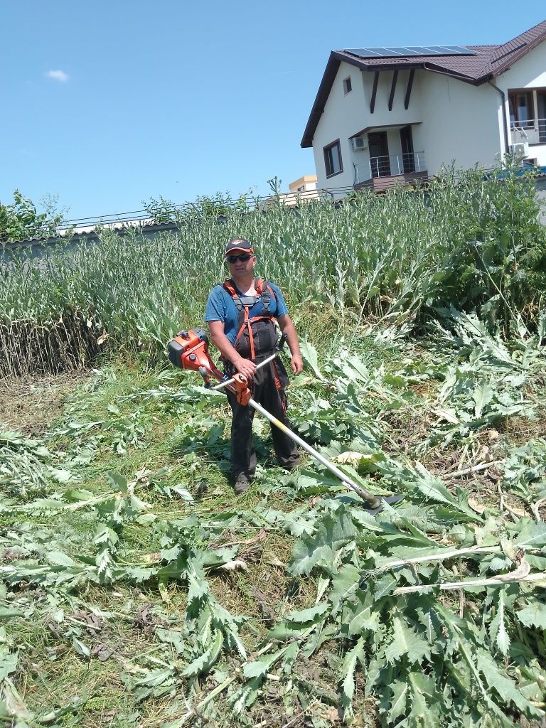 cosit, tai iarba,defrișez, curățenie în curte , erbicidez,