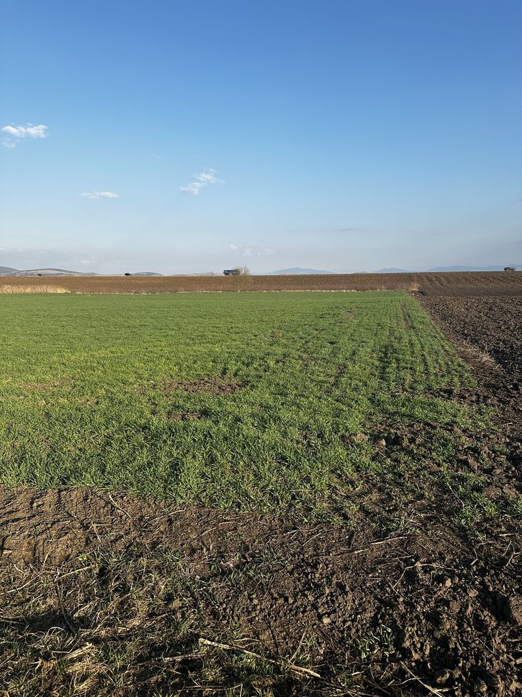 Teren extravilan zona Mielle 10000 mp / 9 € /mp