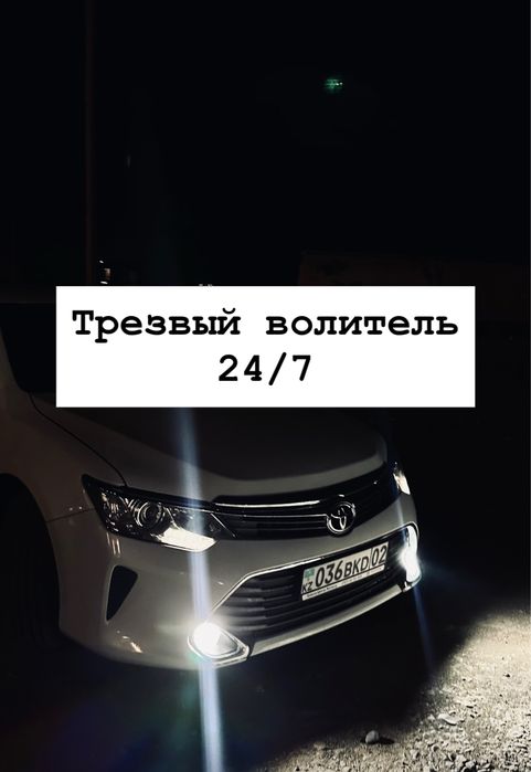Трезвый водитель