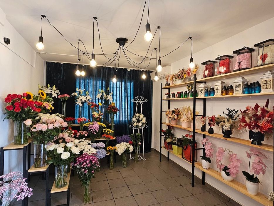 Vand afacere la cheie locație Cavnic, jud. MM