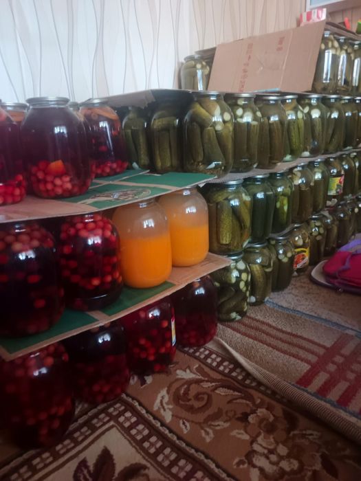 Домашние соленья на зиму