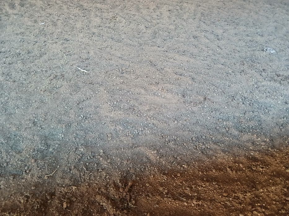 Куй гунши пориси