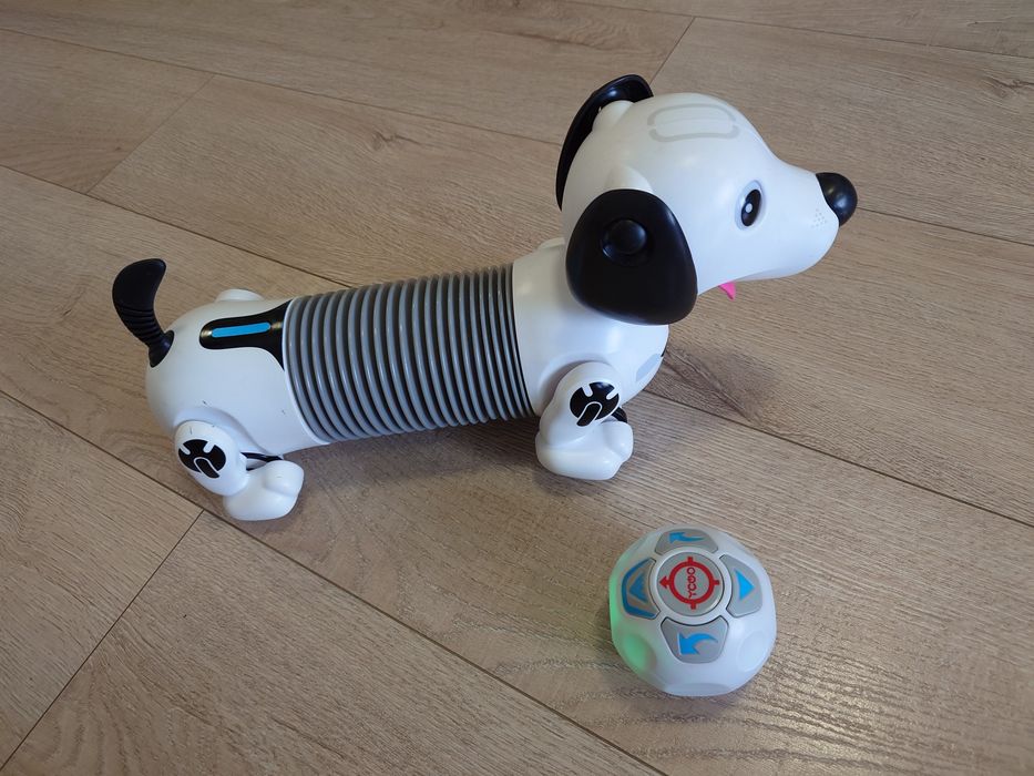 Голямо робо куче с топка