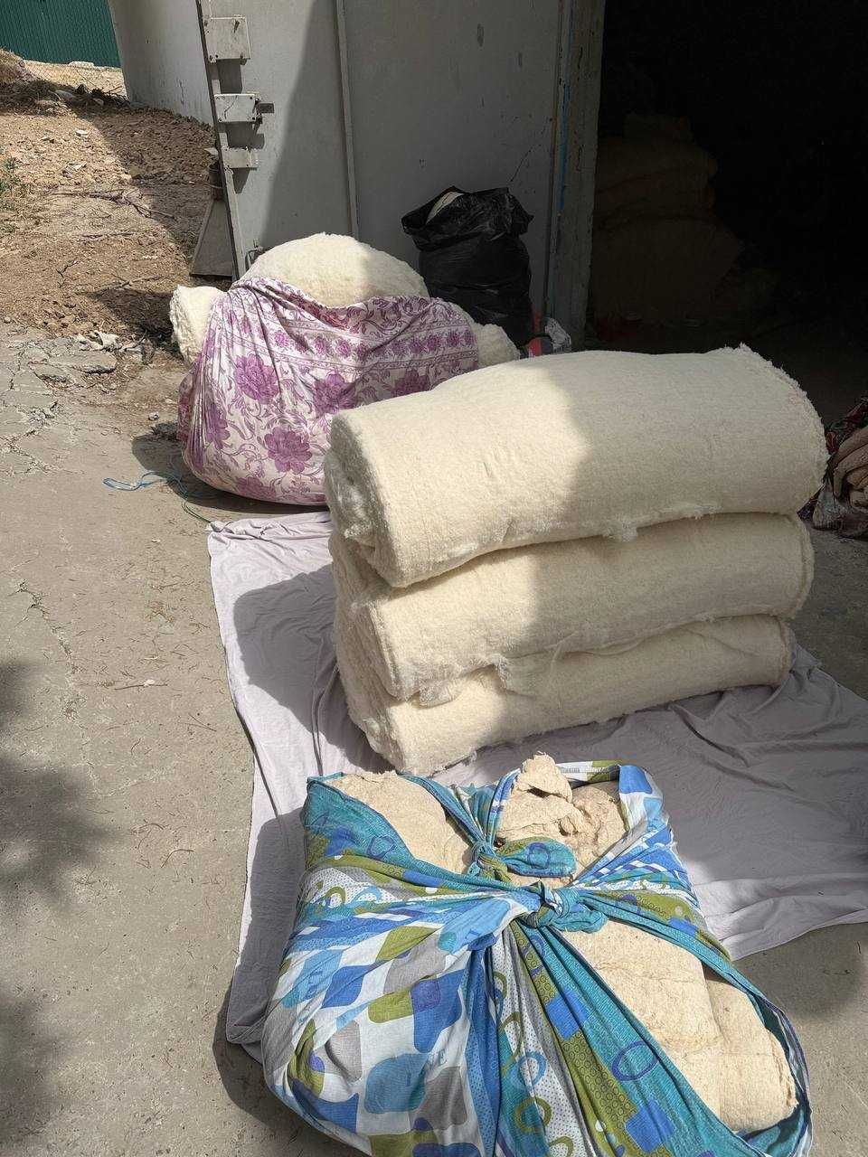 Paxta titish xizmati Toshkent shahar bo'ylab