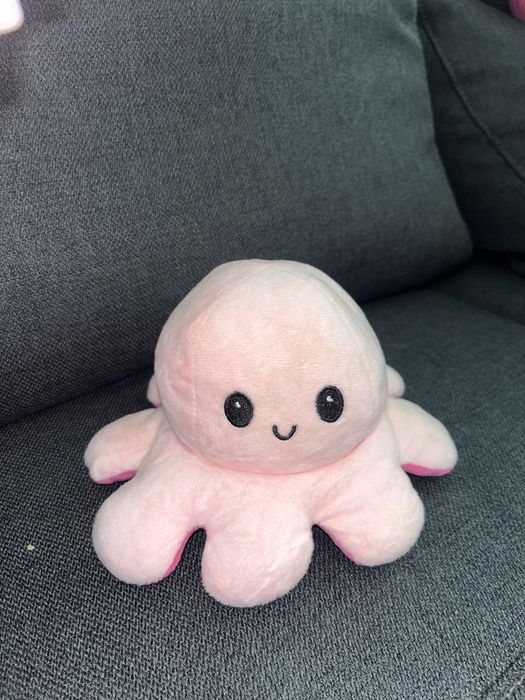 Caracatita cu 2 fete