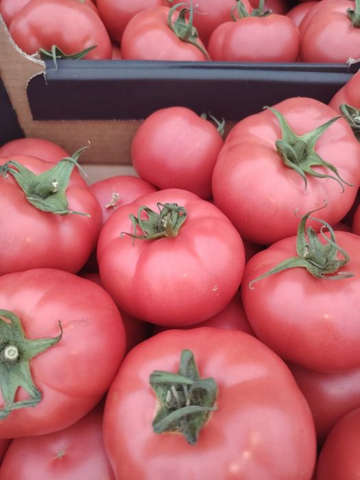 Must din struguri negri și suc de roșii de camp