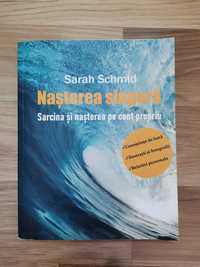 Carte Nasterea Singura - Sarah Schmid