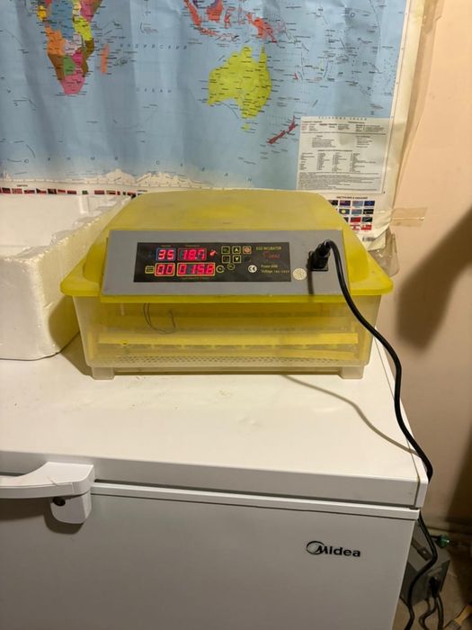 Инкубатор для яиц