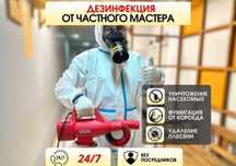 Дезинфекция клопов и тараканов уничтожение клопов dezinfeksiya klapa