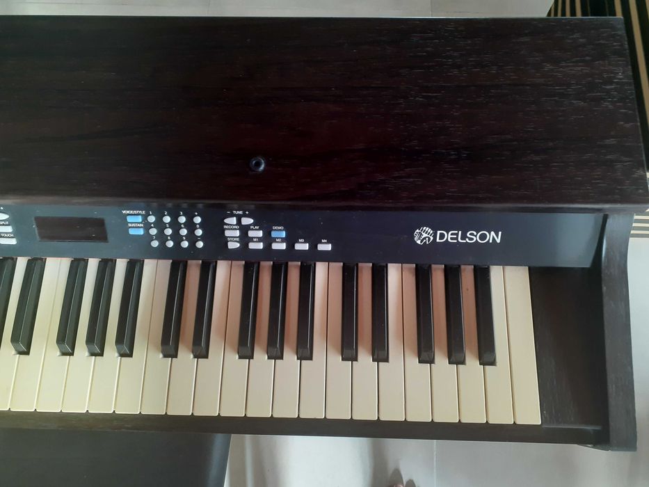 PIAN Digital Delson