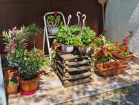 la pret redus ! Suport. RusticHandMade'. CASA & GRADINA.