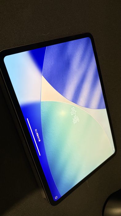 Ipad pro 11 wifi+lte 2024 (m4) 256gb