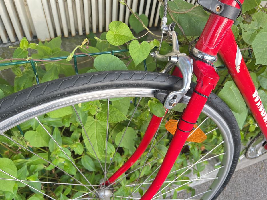 Fixie dintr o cursiera Winora