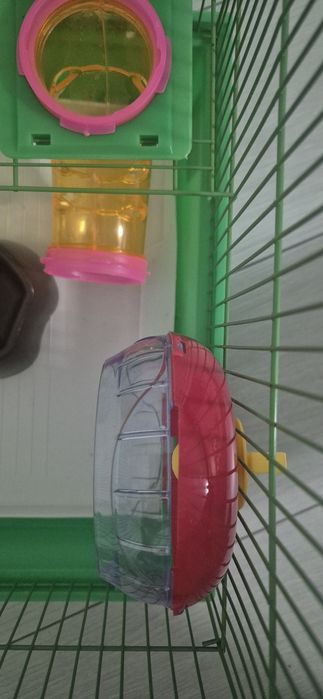 Cusca hamster echipata