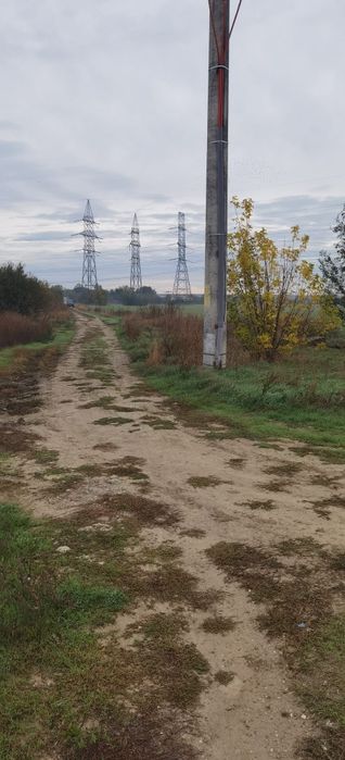 Teren de vânzare Manolache