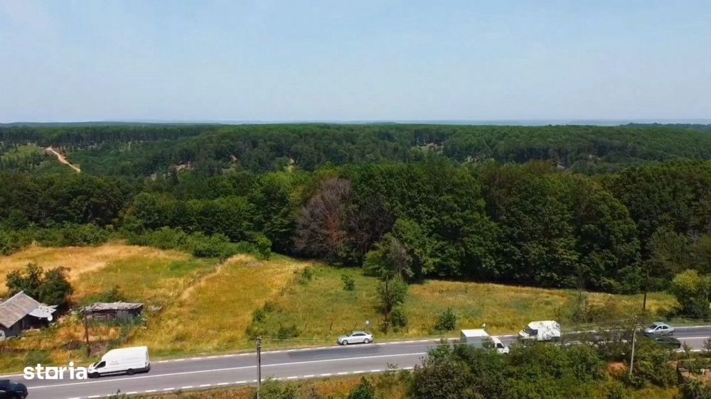 Teren Zamfiresti la E81 - investeste in extravilan!