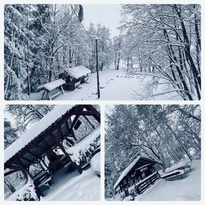 Cabana Huta Sinteu (revelion)