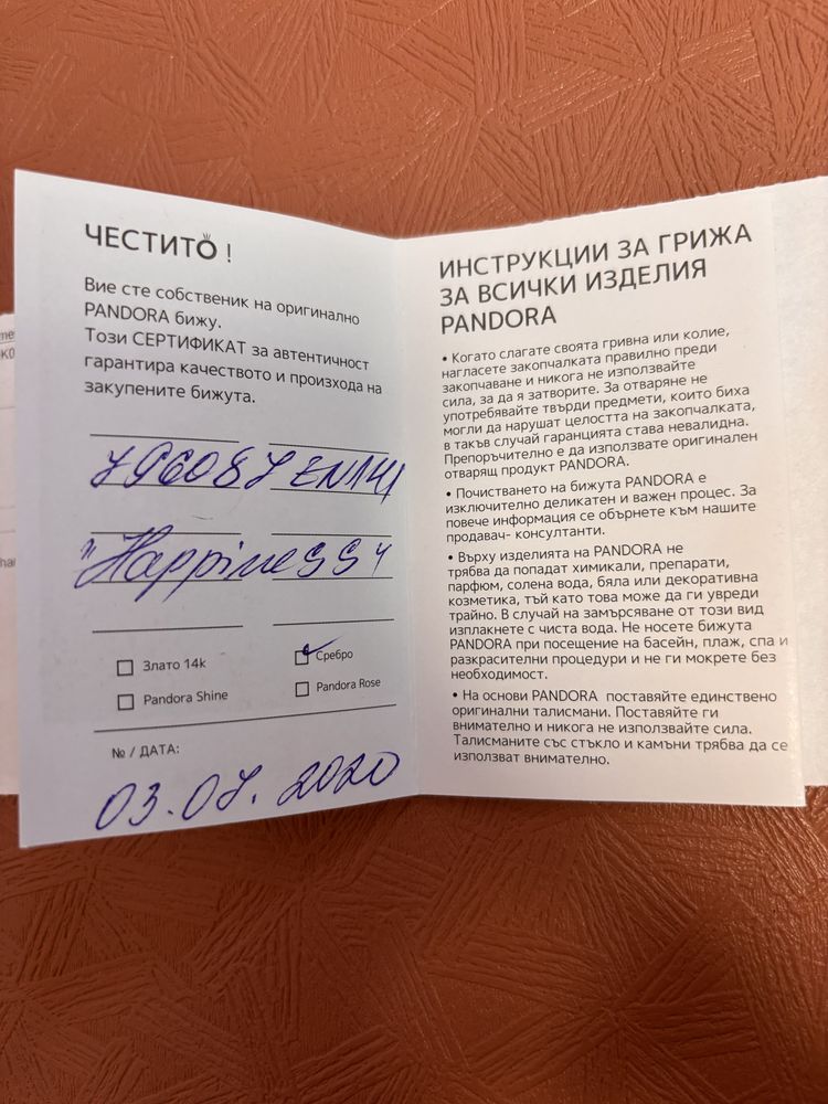 Гривна Pandora Essence