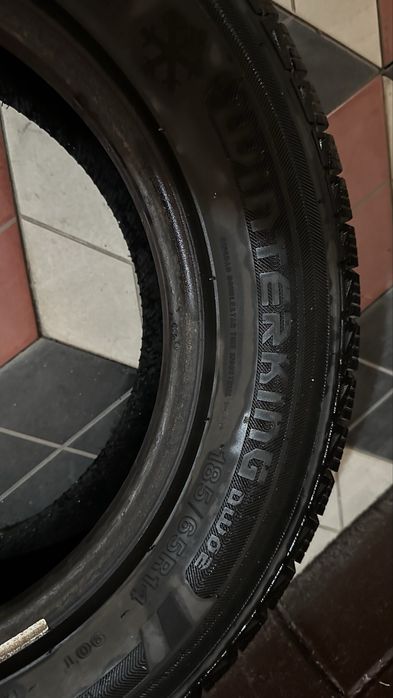 Шины зимние Winterking double star 185/65/14