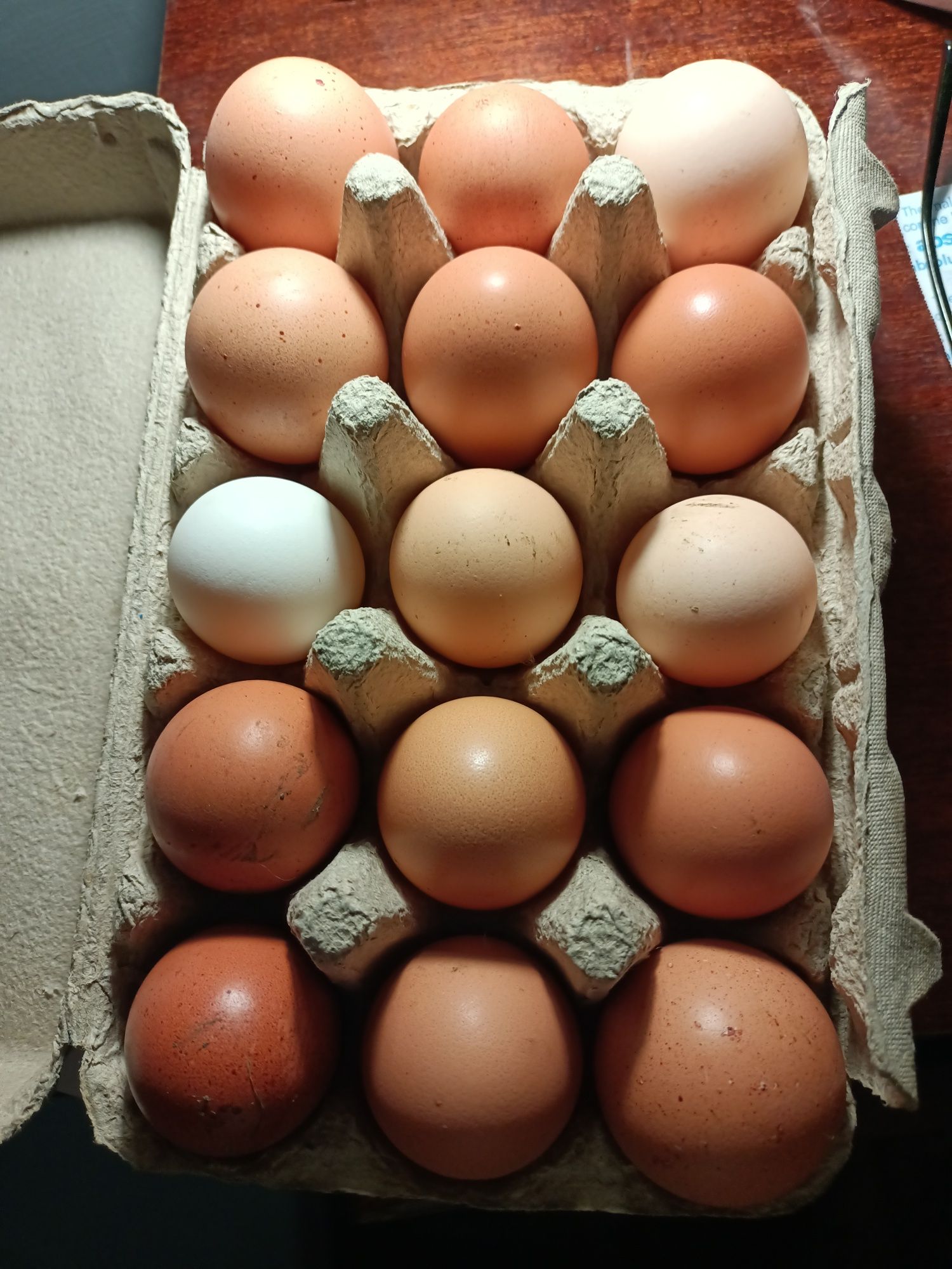 Vând ouă de găină de la găini crescute la curte cu ceriale propi .