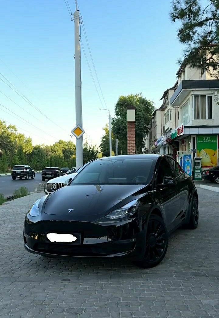 Tesla Model Y Dual Motor