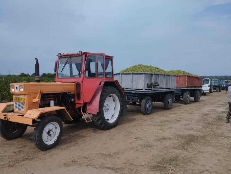 650 rutier cu carte si remorci cu bene pentru struguri vie viticol