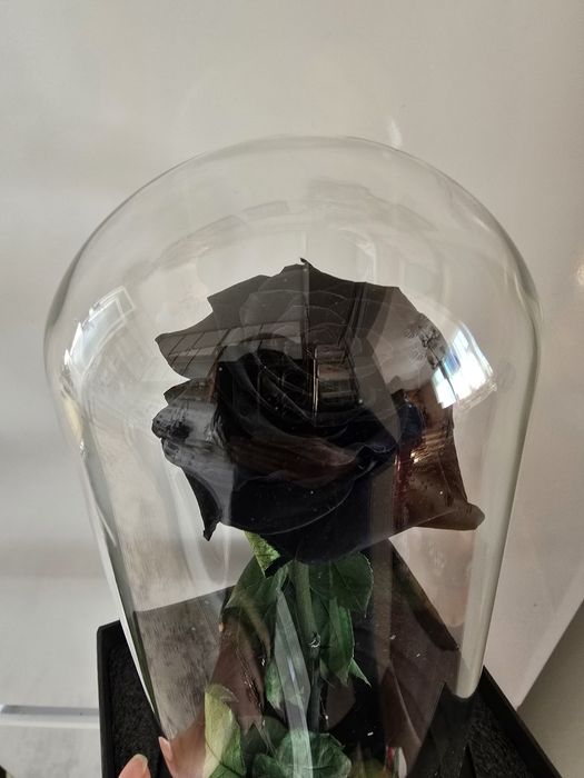 Вечна черна роза