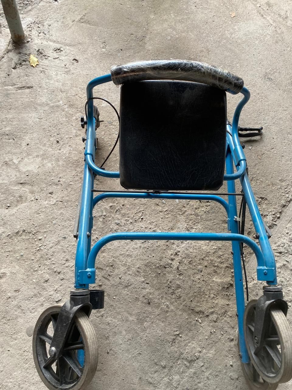 Ходоног взрослых