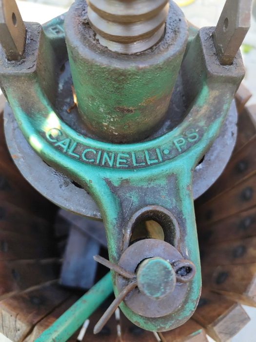 Storcător struguri profesional