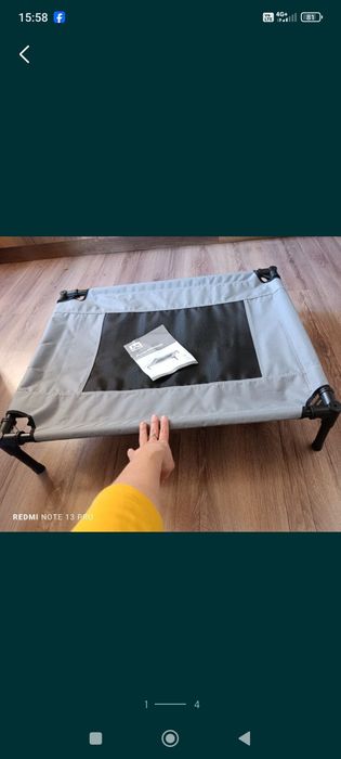 легло за куче и котка