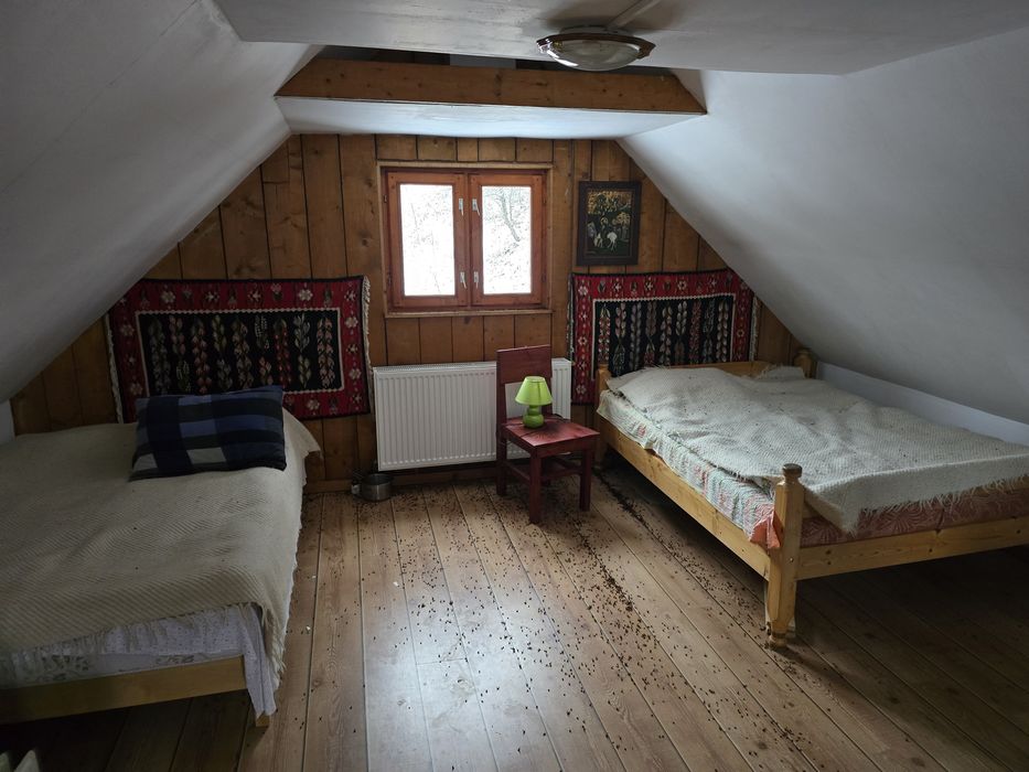 Vând cabana în Ocolisel, comuna Iara