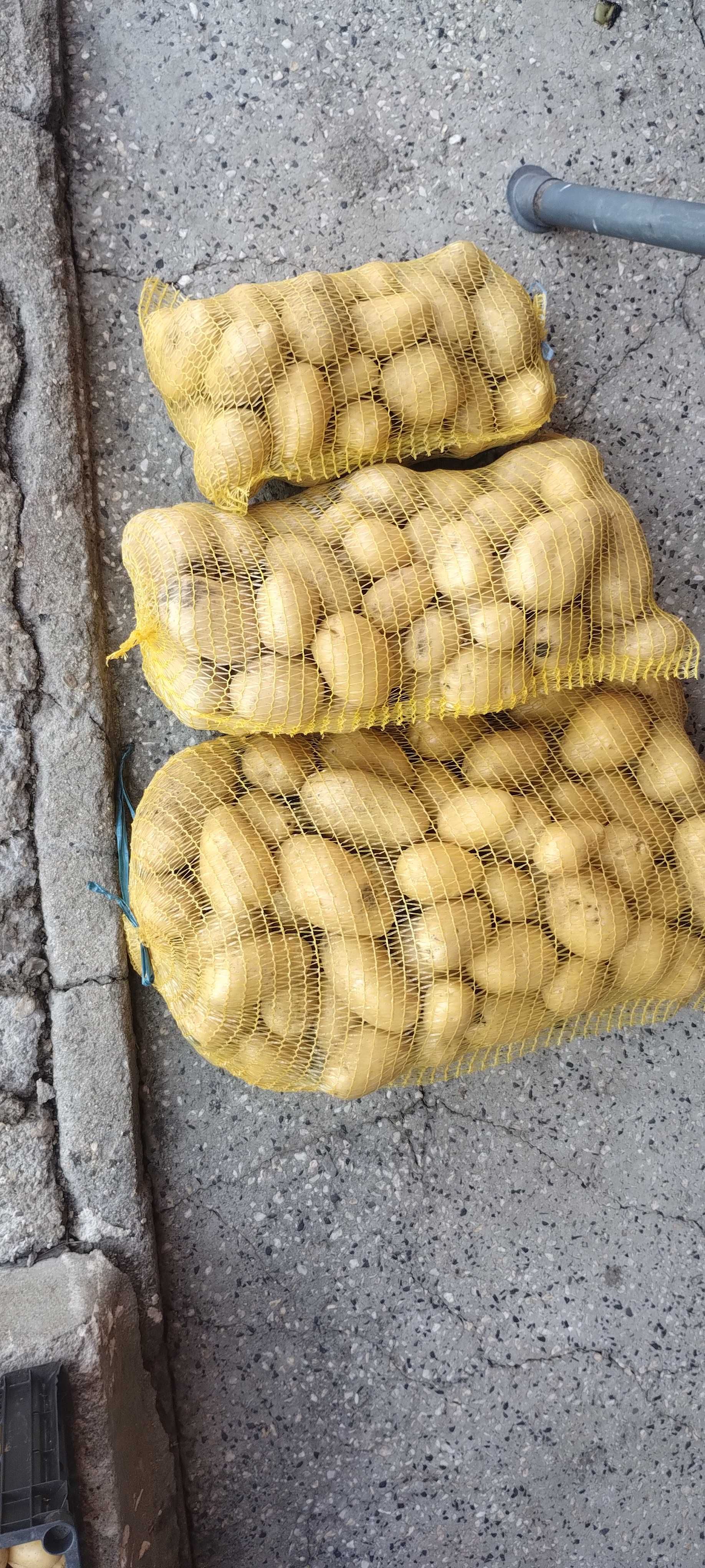 Продавам пресни картофи