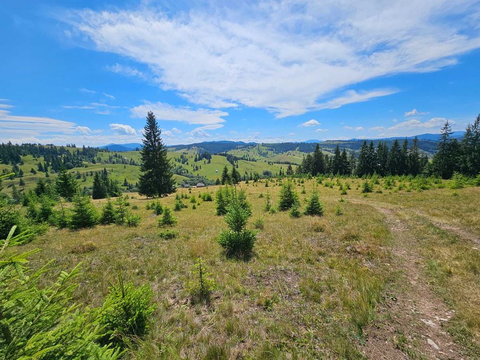 Proprietate de vanzare 92.554.mp ( 9.25 ha) in Bucovina zona Breaza