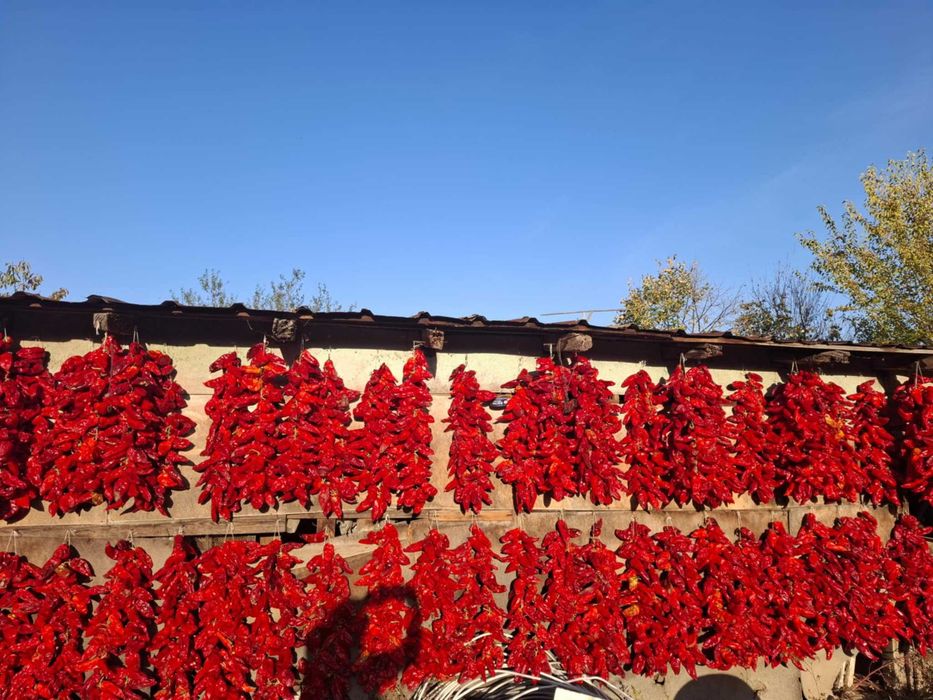 Домашно сушени чушки – българско производство, налични количества