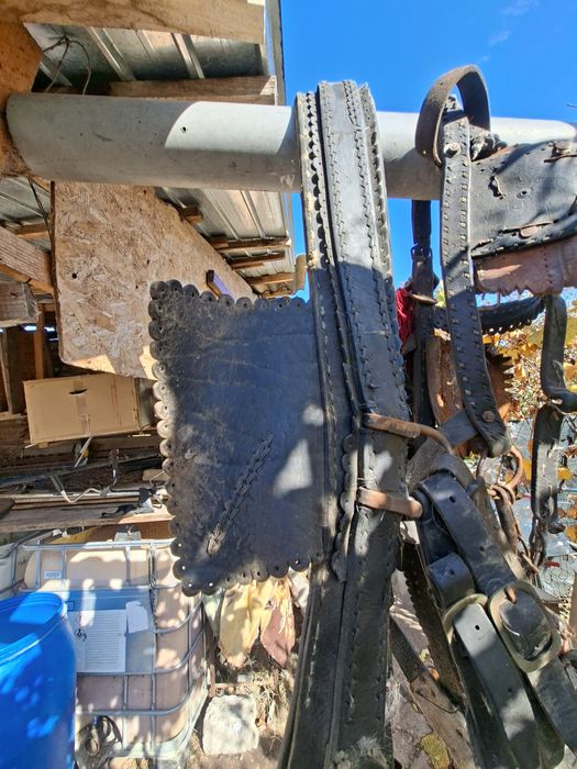 Vând ham pentru cal