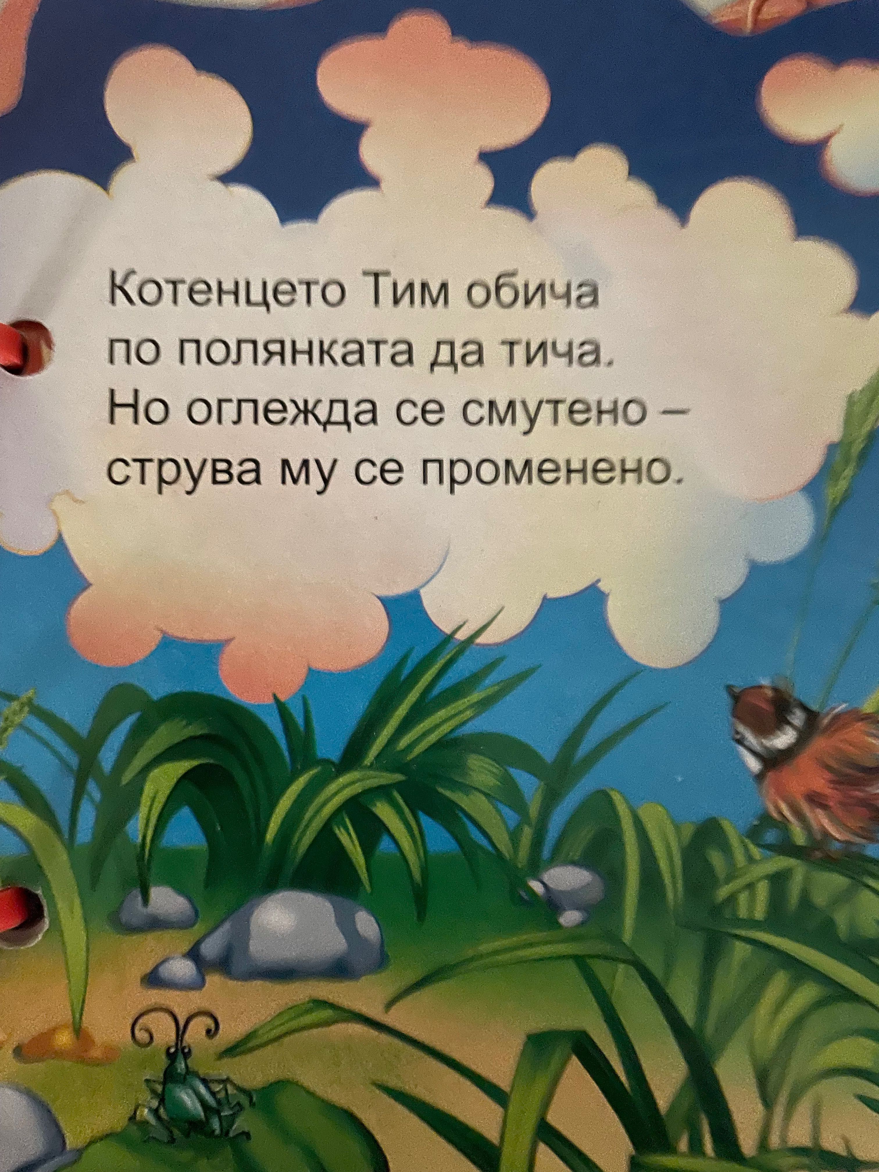 Детска книжка с картинки