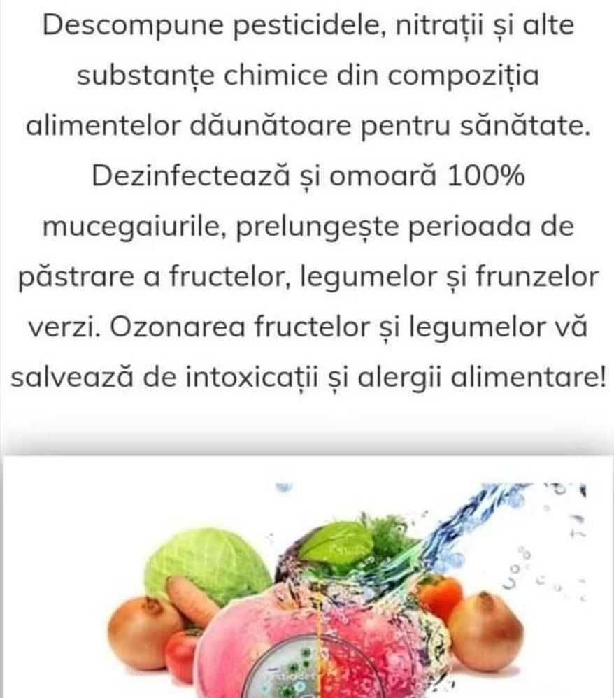 Ozonator Purifica Dezinfectare Aer Apa Produse Bacterii Mucegai Virusi
