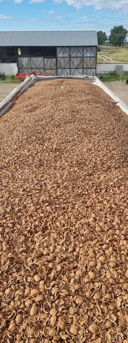 Coaja de nuca, combustibil pentru sisteme de incalzire