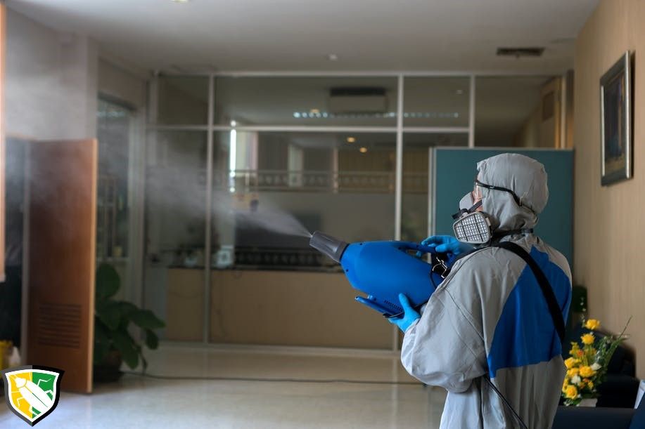 PestControl Bucuresti - Servicii DDD Bucuresti- Dezinsectie Deratizare